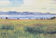 Ferdinand Hodler Lake Geneva from St Prex (nn02) oil painting on canvas